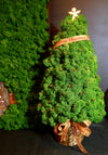 Decorative Stabilized Moss Christmas Tree