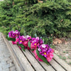 Bouquets of Purple Tulips in Elegant Baskets