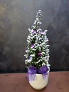 Brad Natural în Ghiveci „Purple Snow”