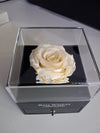 Cutie Bijuterii cu Trandafir Criogenat – Cadou Elegant cu Trandafir Etern