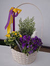 Aranjament floral în coș cu plante decorative