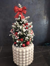 Brad natural de Crăciun în ghiveci „Red Winter Charm”