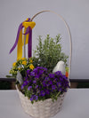 Aranjament floral în coș cu plante decorative
