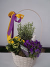 Aranjament floral în coș cu plante decorative