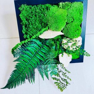 aranjament tip tablou cu plante, muschi si licheni stabilizati